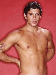 Muscled stud