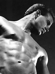 Colt Studio vintage gay pics