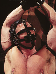 Bondaged hunk gets nipple and cock torture