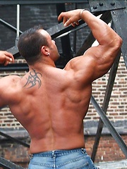 Muscle hunk Johnny Bravo
