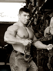 Strong asian bodybuilder