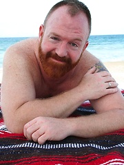  Amazing ginger bear Steve Ellis frolics on the beach