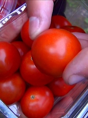 Emo boy ass tasting tomatoes