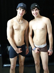 We have Aston twins and they are cute as a button